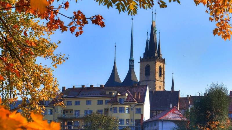 16-louny-co-videt-zapakuj